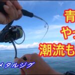 やっぱり青物は潮の流れ大事　ライトショアジギング・スーパーライトショアジギング　ジギングフルモン174