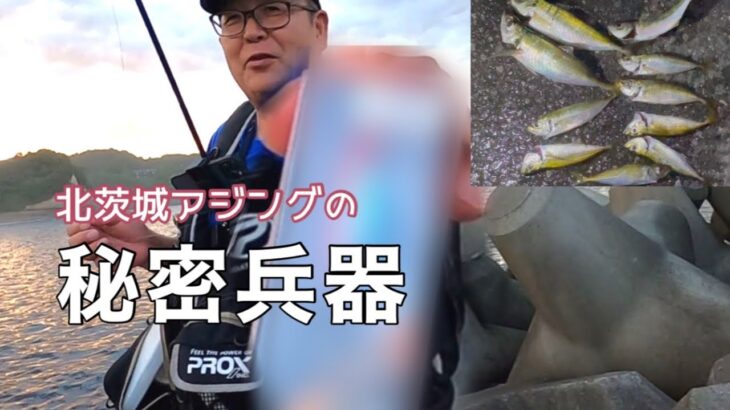 地元釣り人のマル秘ルアー「北茨城アジングにはこれを使え」　茨城県北茨城市某所　2022年7月23日