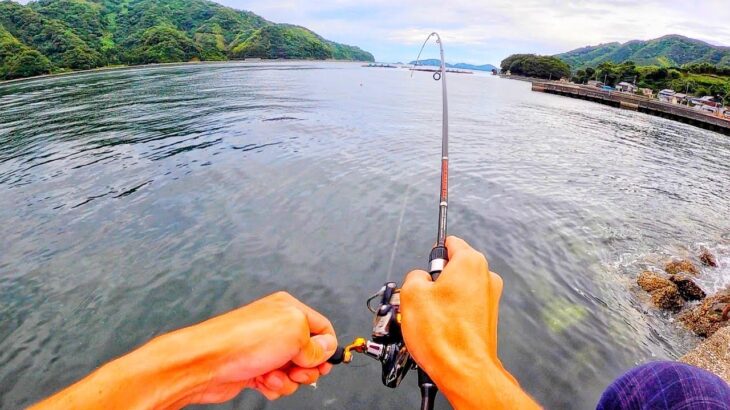 アジングロッドで青物が連発、夏の田舎は魚の楽園 / 2泊3日の 釣りキャンプ の旅