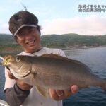 【釣り百景】#444 良型イサキにマダイ・キジハタ・他多数！ 山口県川尻沖でスーパーライトジギング