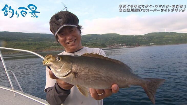【釣り百景】#444 良型イサキにマダイ・キジハタ・他多数！ 山口県川尻沖でスーパーライトジギング