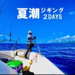 夏潮のカンパチジギング　6月19日・29日の釣行動画　鹿児島　奄美大島　沖縄　スロージギング　カンパチ　スジアラ　オオモンハタ