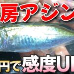 7月の外房アジング！100円で感度UPする方法とは？