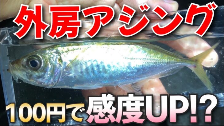 7月の外房アジング！100円で感度UPする方法とは？