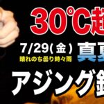 【7月29日30℃越え！真夏のリアルタイムアジング!!】SOTvol,155