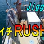 瀬戸内Jigging　朝夕２回の猛ＲＵＳＨ！