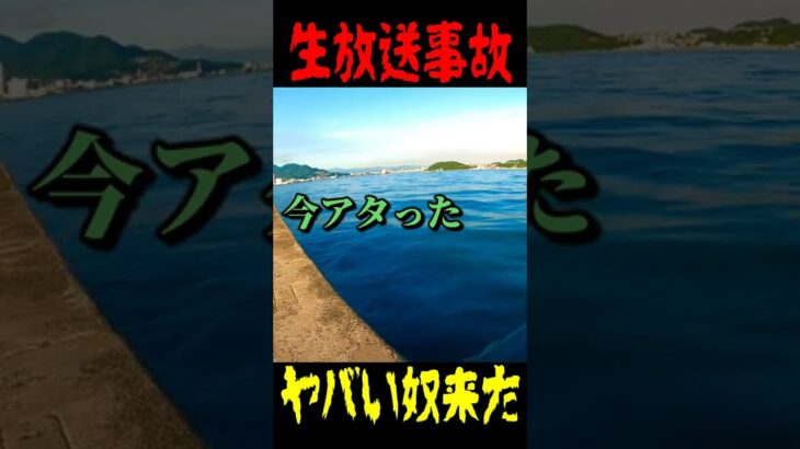 釣り生放送事故。　やばい奴が来た　　#Shorts