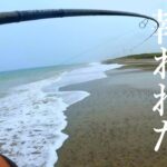 【ヒラメ・マゴチ】サーフで魚を追い求め続けた結果…【フリッパーZ】~復活編〜