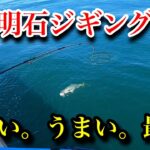 【ヒマキワch ＃23】続。初夏。明石ジギング！釣ってよし！食べてよし！【ハマチ】