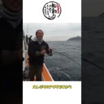 ジギングで４回アワセ！メチャクチャ喰い上げてくるブリ！ #shorts