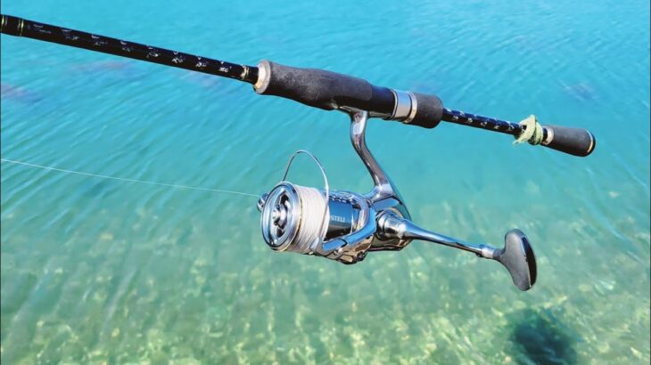 【sls】アジングロッドでダイソーマイクロジグなげたら昼に嘘やん？！【ライトゲーム】