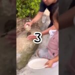 【サザエ】男の本気のサザエの食い方#サザエ#スロージギング #turbanshell#shell