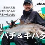 【ジギング】清水一成が挑む。東京都八丈島の大型カンパチ