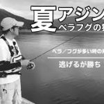 釣り　夏アジング長潮でやってみた。「ベラフグの猛攻を避けて釣る！」