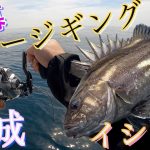 【前編】根魚狙いでスロージギング＆青物狙いのジギング！贅沢三昧で狙い通りの魚をキャッチ！茨城日立沖は最高だった