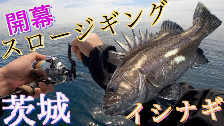 【前編】根魚狙いでスロージギング＆青物狙いのジギング！贅沢三昧で狙い通りの魚をキャッチ！茨城日立沖は最高だった
