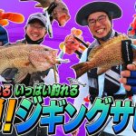 ヒロセマンの「誰でも釣れる、いっぱい釣れる。簡単！ジギングサビキ」【メジャークラフト】