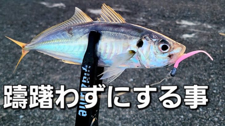 【アジング】これしてると釣果下がります。と言うか下がりました…