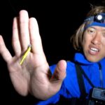 アジングの聖地(笑)でアジング【周防大島】