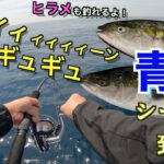 【後編】根魚狙いでスロージギング＆青物狙いのジギング！贅沢三昧で狙い通りの魚をキャッチ！茨城日立沖は最高だった