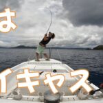 今更ライトキャスティング釣り始めました！【沖縄】【奄美】