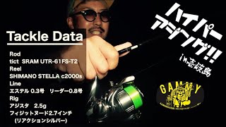 『灼熱の壱岐』真夏のハイパーアジング❗️