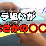 【サワラ】狙いだったのにまさかの⁉︎