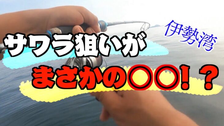 【サワラ】狙いだったのにまさかの⁉︎