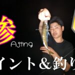 初心者でも簡単に釣れる！アジングのポイント＆釣り方を簡単解説！