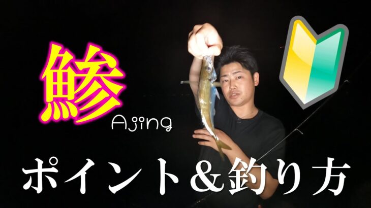 初心者でも簡単に釣れる！アジングのポイント＆釣り方を簡単解説！