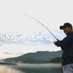 癒しのデイゲーム