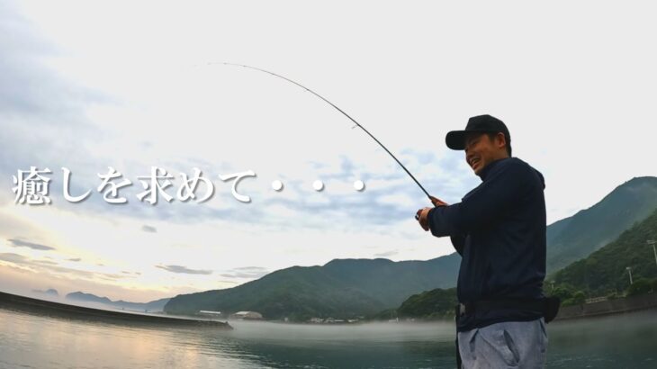 癒しのデイゲーム