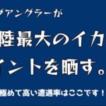 アジングアングラー鯵しか興味がないので北陸最大のイカポイント晒す。