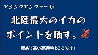 アジングアングラー鯵しか興味がないので北陸最大のイカポイント晒す。