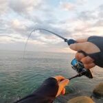 【新潟】初夏アジング【釣り】