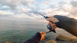 【新潟】初夏アジング【釣り】