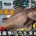 【石川県】幻の高級魚アラを狙って初めてのスロージギング編【遊心丸】
