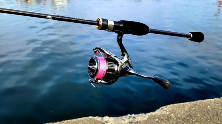 【アジング】夏アジング注意する事。これするとこうなる事も…