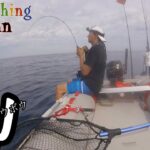 美浜青物ジギング釣り