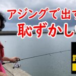 【釣りチューバーもプロアングラーも間違っています】初心者がアジングすると下手になります【逆説的な釣り解説】