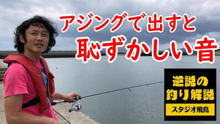 【釣りチューバーもプロアングラーも間違っています】初心者がアジングすると下手になります【逆説的な釣り解説】
