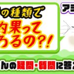【アジング】質問にお答えします！針の種類で釣果って変わるの？！アジングのコツ教えます。番外編