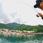 デイアジング中に巨大な群れを発見したので狙ってみました