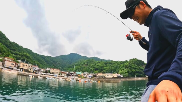 デイアジング中に巨大な群れを発見したので狙ってみました
