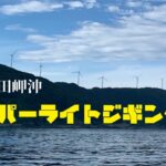 【愛媛】佐田岬沖スーパーライトジギング