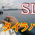 タイラバ・ＳＬＪ なんでも釣れたら楽しいんです。