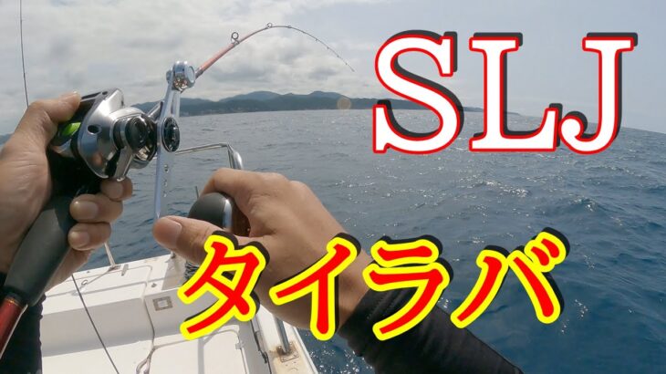タイラバ・ＳＬＪ なんでも釣れたら楽しいんです。