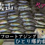 遂に夏アジ！ 人より釣りたい私は沖へ投げ倒す！！