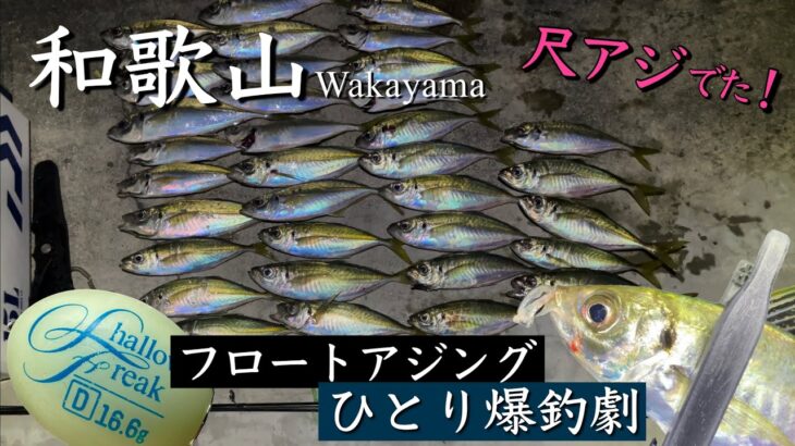 遂に夏アジ！ 人より釣りたい私は沖へ投げ倒す！！