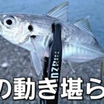 【アジング】渋い状況でも思わず口を使ってしまうワームが最近良すぎるんです